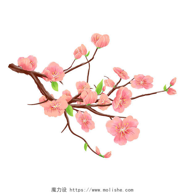 手绘粉色春天桃花边框元素春天樱花春天的花春天的樱花春天手绘樱花春天卡通樱花